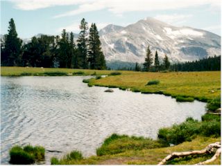 Yosemite