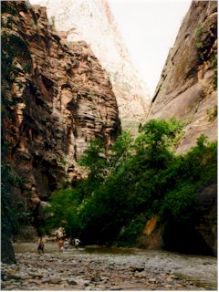 Zion N.P.